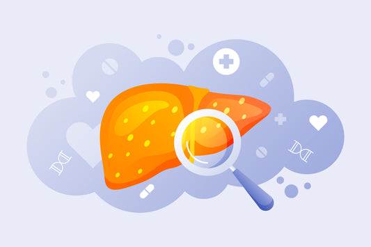 Discovering BioLiver: Your Comprehensive Support for Optimal Liver Health