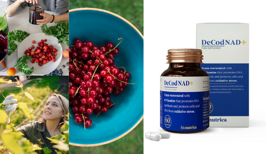 Best Resveratrol supplement uk