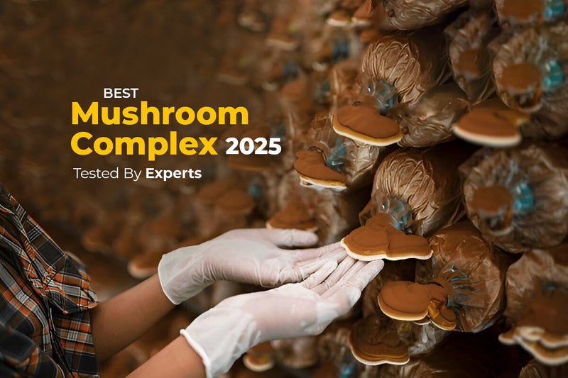 adaptogenic mushroom complex