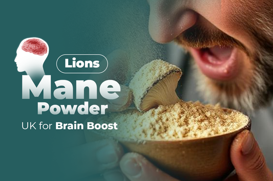 Lions Mane Powder UK
