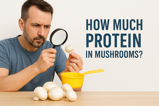 How Much Protein in Mushrooms?