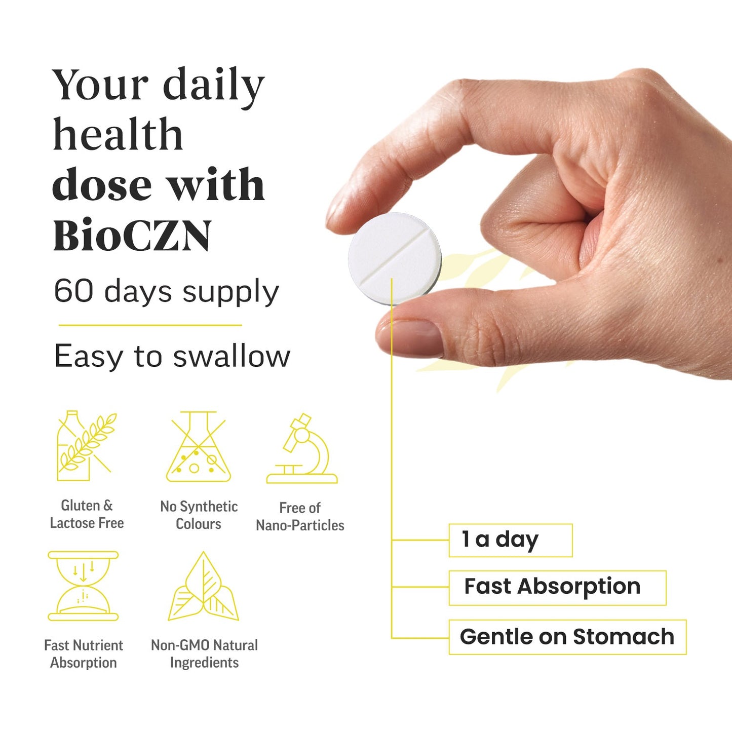 BioCzn