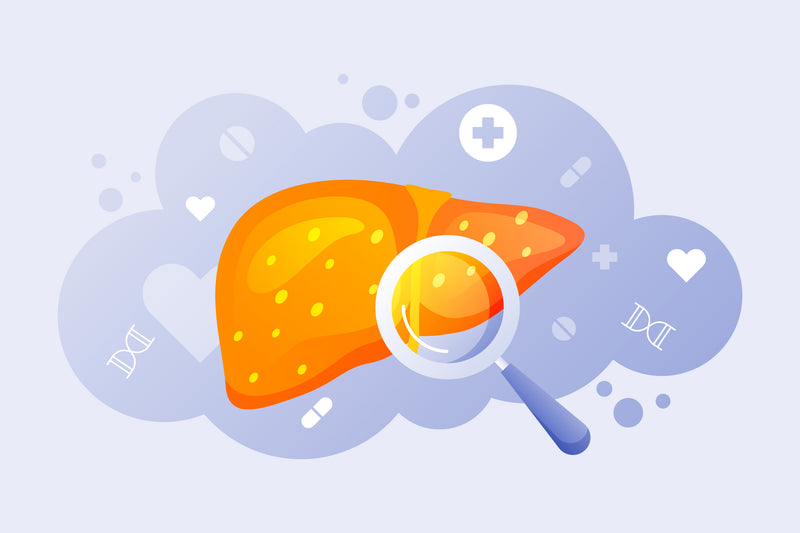 Discovering BioLiver: Your Comprehensive Support for Optimal Liver Health