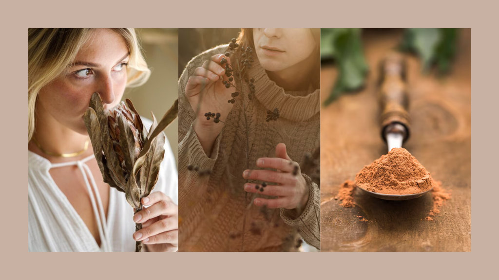 Top 7 Maca root Benefits For Females By Bionutrica