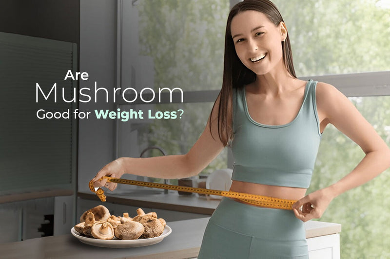 are mushrooms fat burning