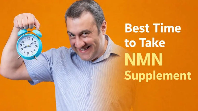 Best Time to take NMN Supplement