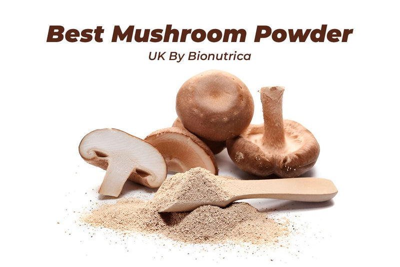 mushroom powders benefits