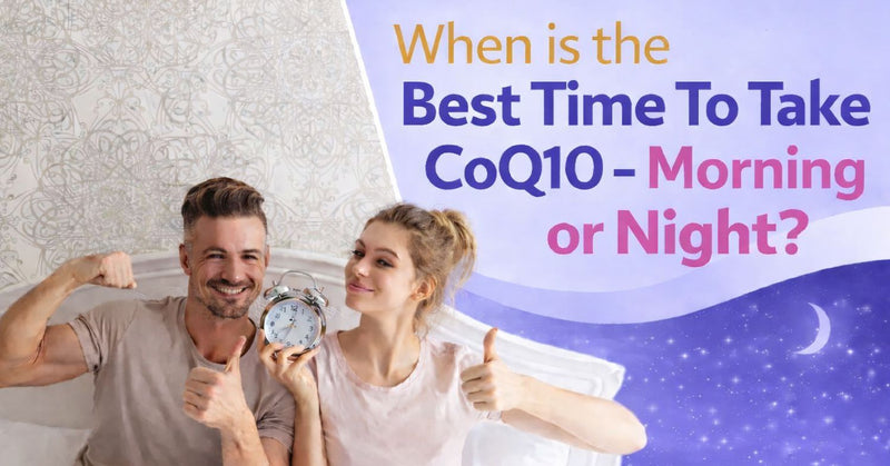 When is the Best Time To Take CoQ10- Morning or Night?