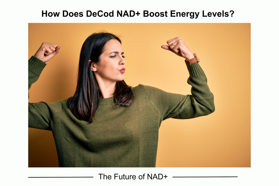 Feeling Tired? Here’s How DeCodNAD+ Helps