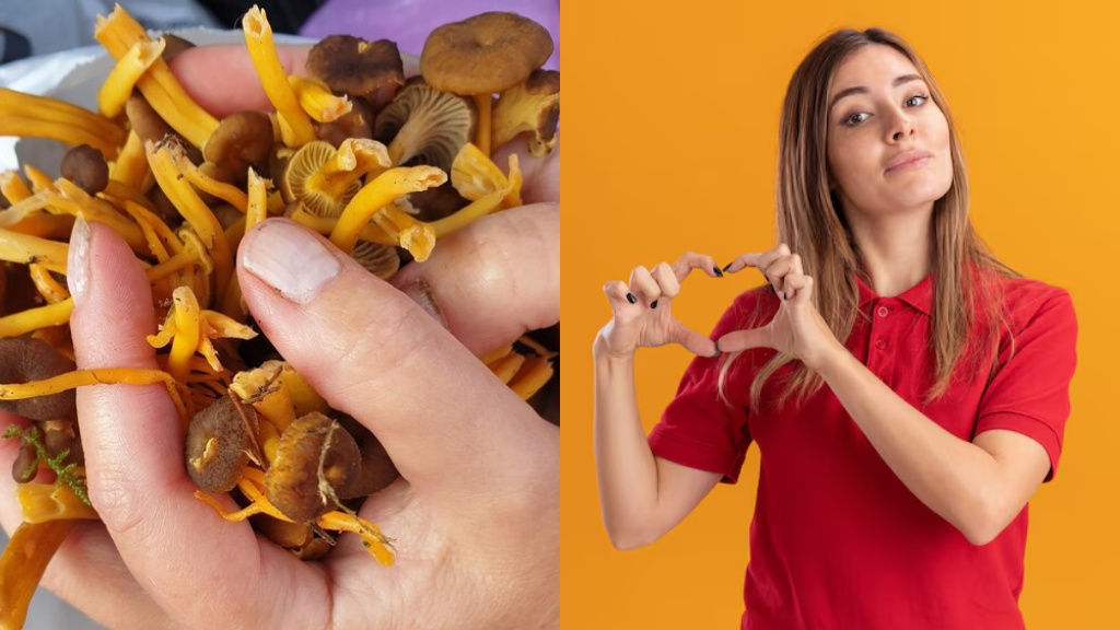 7 Health Benefits Of Cordyceps Mushroom