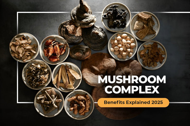 Mushroom Complex Benefits Explained 2025