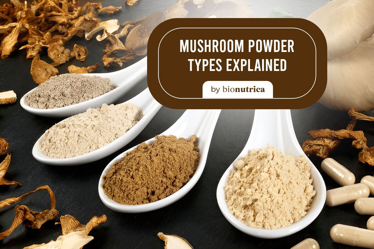 Mushroom Powder Types Explained by Bionutrica