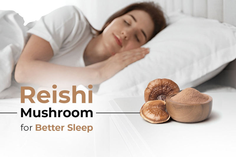 Reishi Mushroom for Better Sleep