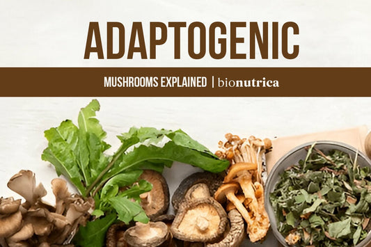 adaptogenic herbs and mushrooms