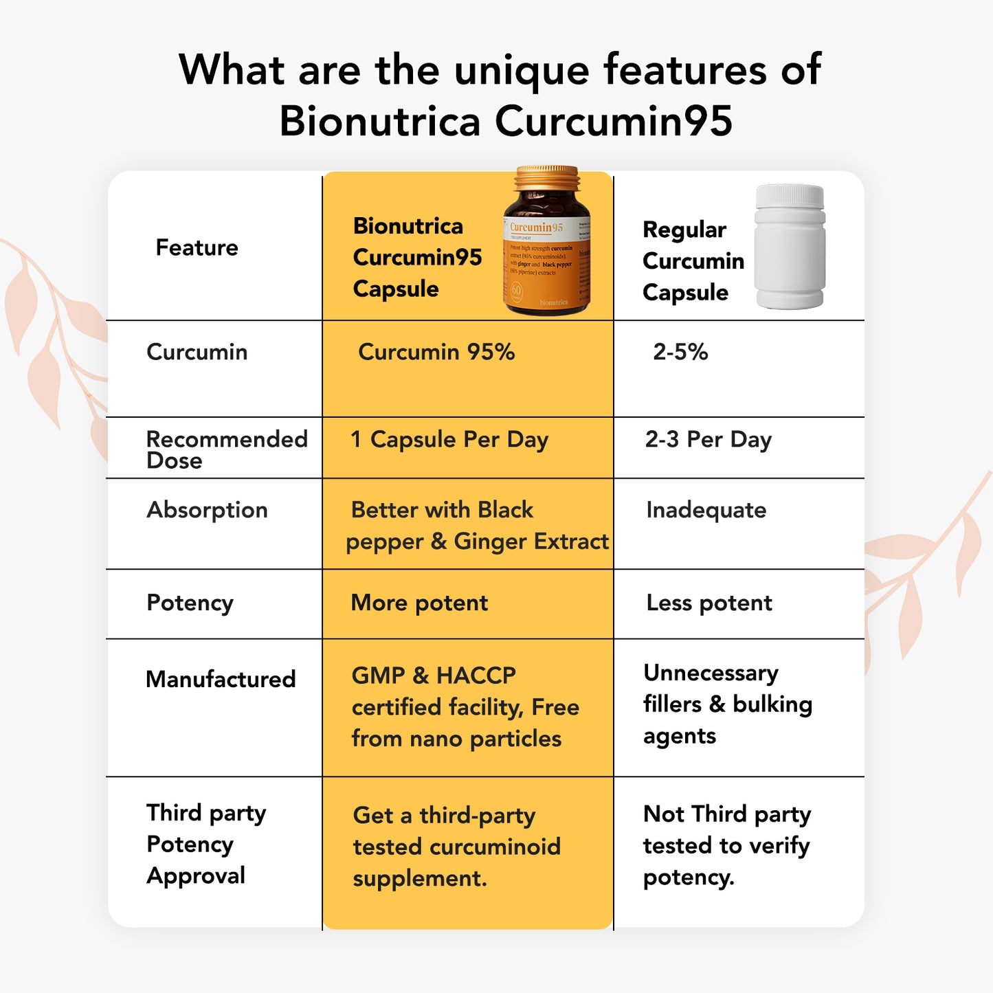 Curcumin 95